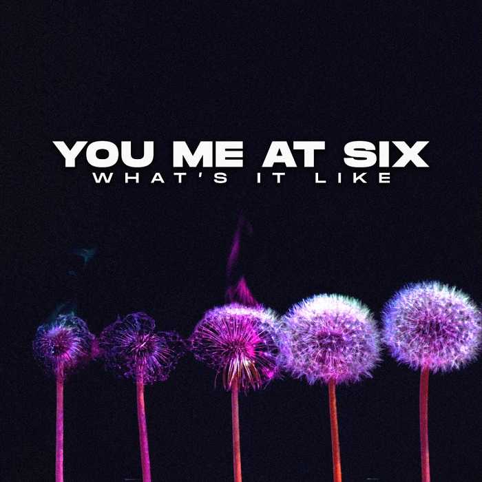 You Me at Six - Whats It Like